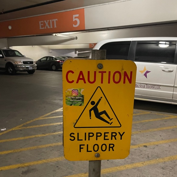 Meet your Posher, Salvador - Picture 2 of 3